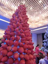 -武汉富力威斯汀酒店·宴会厅