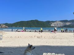 -后海村