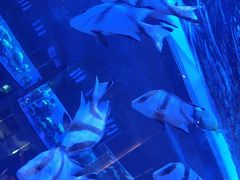 -上和臻品中国菜(花园街店)