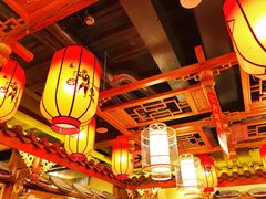 -谭鸭血老火锅(日本东京店)