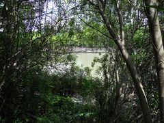 -苏州河梦清园环保主题公园