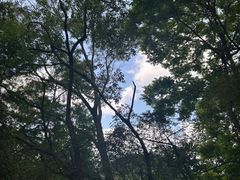 -梅州天地人花园酒店(梅县人民广场店)