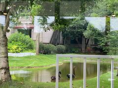 -东方绿舟景区