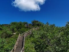 -大岭沟猕猴桃谷风景区