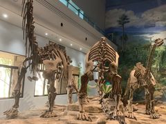 -自贡恐龙博物馆