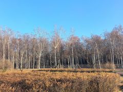 -长春市南湖公园