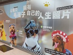 -帕帕拉兹宠物(亚洲旗舰店)