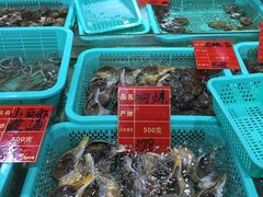 -渔傅·蓝海岸霞浦海鲜(正祥店)