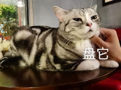 -咖法森林·咖啡  酒吧(天河店)