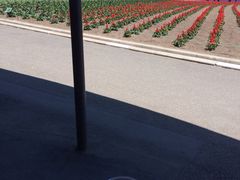 iphone_upload_pic-富田农场