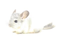 -龙猫仔乐园(惠福东路店)