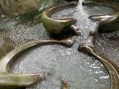 -成都市活水公园
