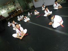 -金翼跆拳道巴西柔术拳击格斗学院