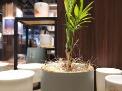 -光海书局(南京东路第一百货店)