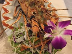 -Onion restaurant