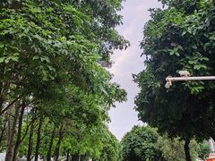 -佛山京华广场MALL