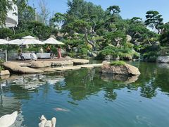 -罗红摄影艺术馆