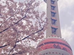 -东方明珠广播电视塔