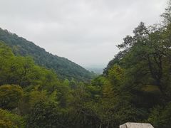 -韬光茶庵