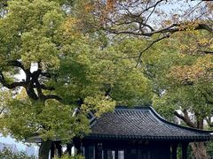 -杭州西湖柳莺里酒店·闻莺厅