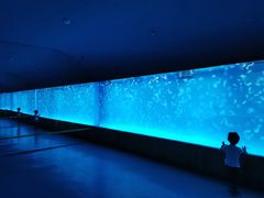 -多彩贵州城极地海洋世界