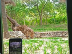 -北京野生动物园