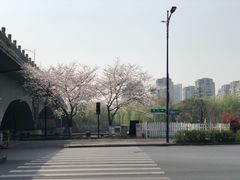 -运河游船(武林门码头)