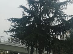 -木塔寺遗址生态公园