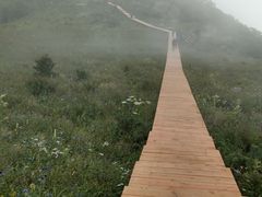 -白草畔自然风景区