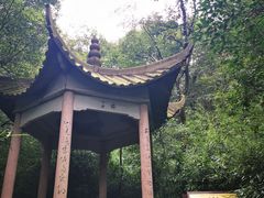 -紫金山山顶公园