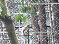 -大观园昆山峡漂流