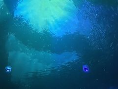 -烟台海昌鲸鲨海洋公园