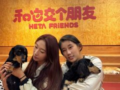 -和它·交个朋友·狗咖猫咖(爱琴海店)