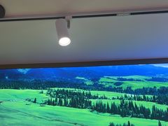 -胡氏大盘鸡新疆菜(谈固店)