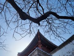 -香山公园