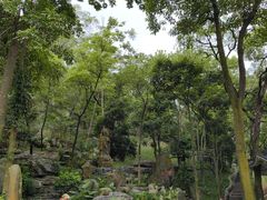-叱石风景区