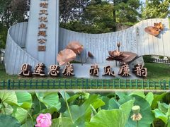 -莲湖公园