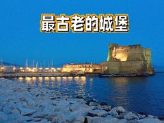 -蛋堡