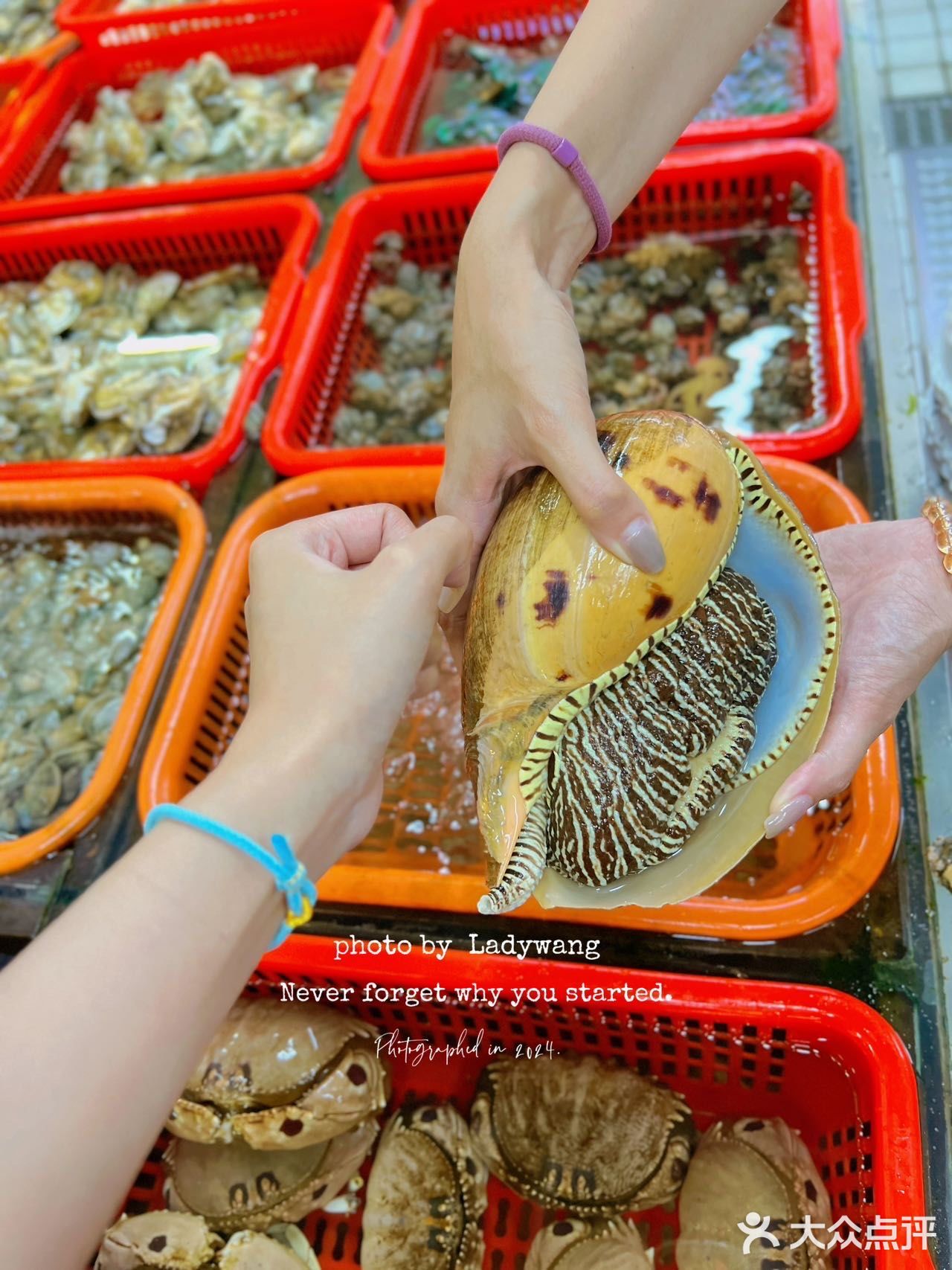 来南澳，这家海鲜排挡我吃了5678次‼️