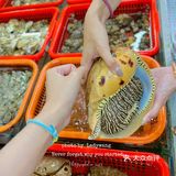 来南澳，这家海鲜排挡我吃了5678次‼️