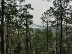 -白水带风景区体育公园