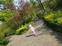 -重庆彩云湖湿地公园