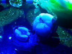 -欢乐迪KTV(泉秀店)