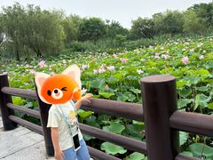 -长兴太湖图影湿地文化园