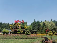 -东平国家森林公园