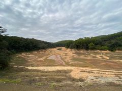 -东莞市大岭山森林公园
