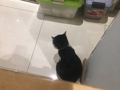 -猫的天空之城概念书店(杭州南宋御街店)