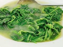 -东鸽皇(奥园·中环广场店)