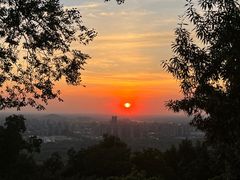 -一叶觅山(半边街店)