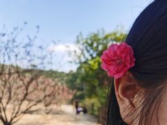 -南国桃园旅游度假区